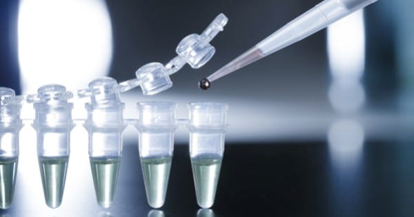 Hochwirksame adulte Stammzellen werden im Labor hergestellt